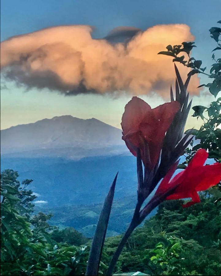 El Refugio La Brisa Del Diablo Bed & Breakfast Valle Hornito ภายนอก รูปภาพ