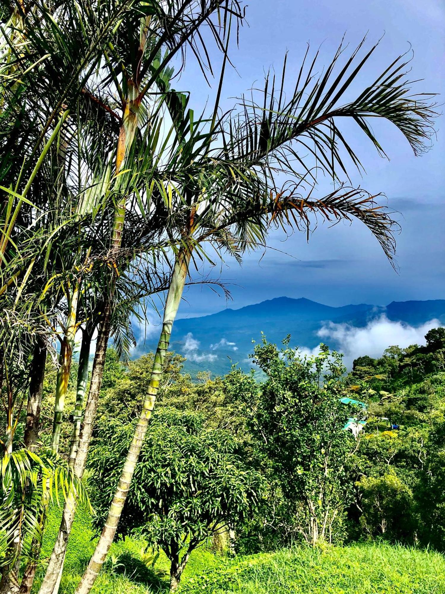 El Refugio La Brisa Del Diablo Bed & Breakfast Valle Hornito ภายนอก รูปภาพ