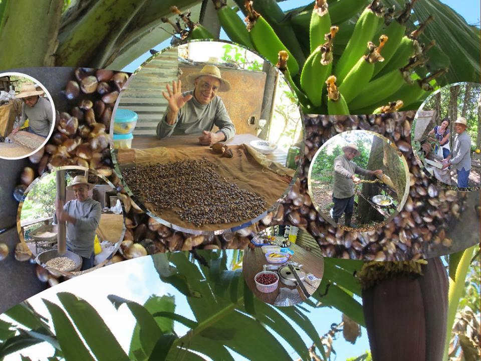 El Refugio La Brisa Del Diablo Bed & Breakfast Valle Hornito ภายนอก รูปภาพ